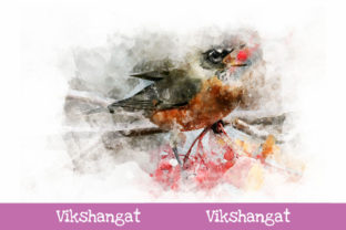 American Robin Watercolor Art