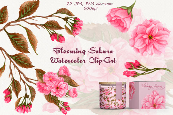 Blooming Sakura Watercolor Clip Art and Illustrations