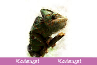 Chameleon Watercolor Art Illustrations