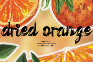 Dried Orange Watercolor Clipart