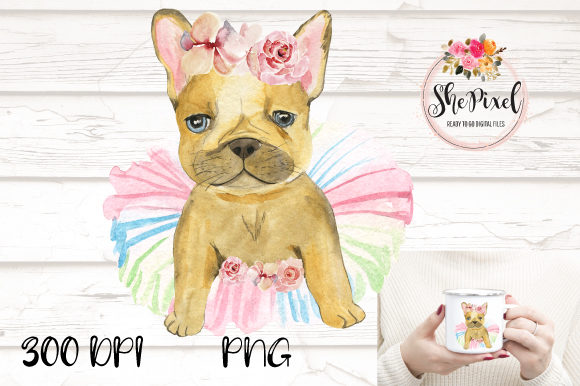French Bulldog Watercolor Clipart and Illustrations