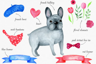 French Bulldog Watercolor Set Clipart and Illustrations