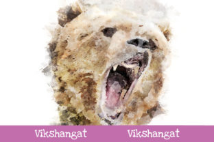 Grizzly Bear Watercolor Art and Illustrations