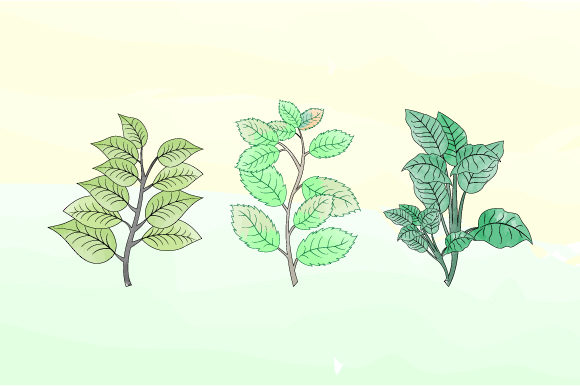 Nice Leaf with Watercolor Illustrations