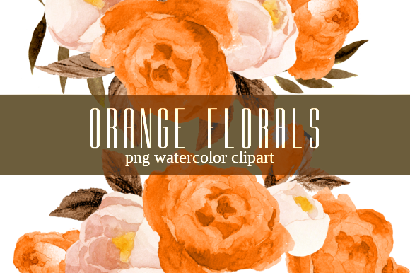 Orange Florals Watercolor Clipart Set & Illustrations