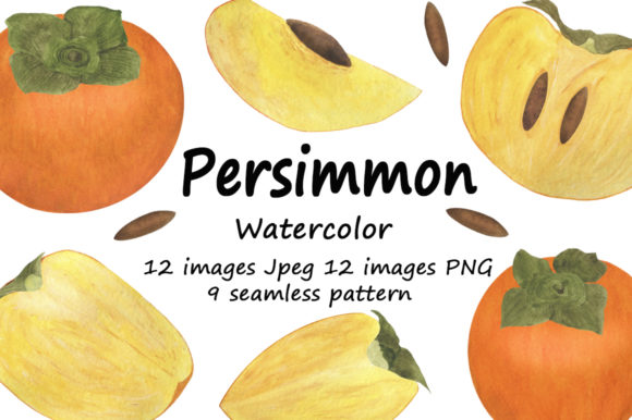 Persimmon Watercolor Illustration