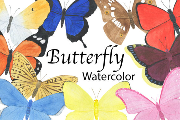 Set Butterfly Watercolor Illustration