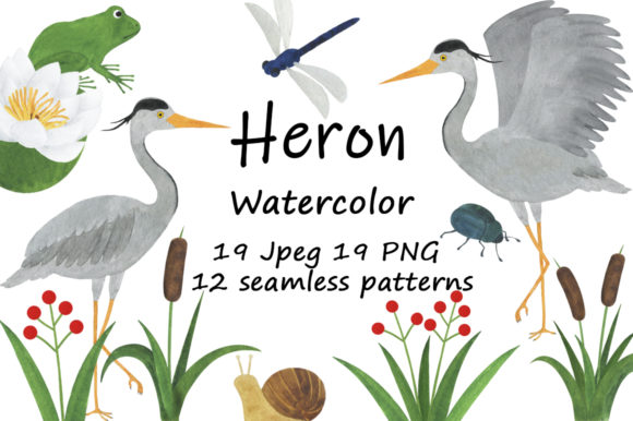 Set of Heron Watercolor Illustrations