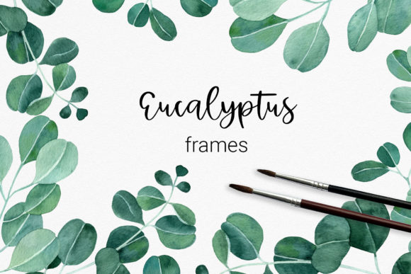 Set of Watercolor Eucalyptus Frames Illustrations