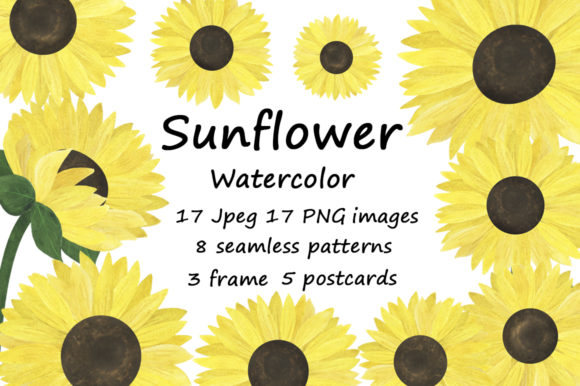 Set of Watercolor Sunflowers Illustration