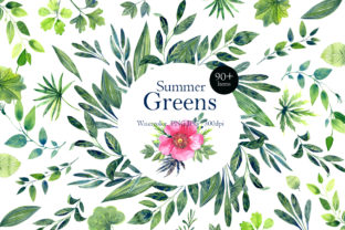 Summer Green Watercolor Clip Art and Illustrations