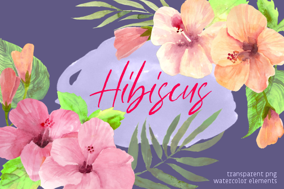 Summer Hibiscus Floral Watercolor Set Illustrations
