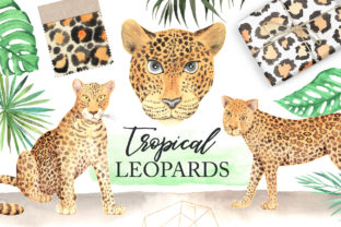 Watercolor Leopards in the Jungle Illustrations