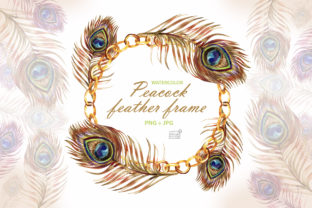 Watercolor Peacock Feather Frame Illustrations