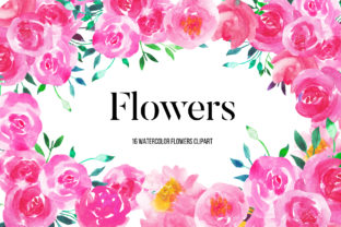 Watercolor Pink Peonies Flowers Clipart and Illustrations