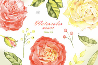 Watercolor Roses Cliparts and Illustrations