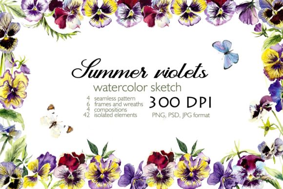 Watercolor Set Blooming Violets Illustrations