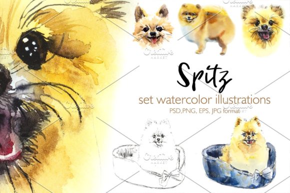 Watercolor Spitz-dog Illustrations