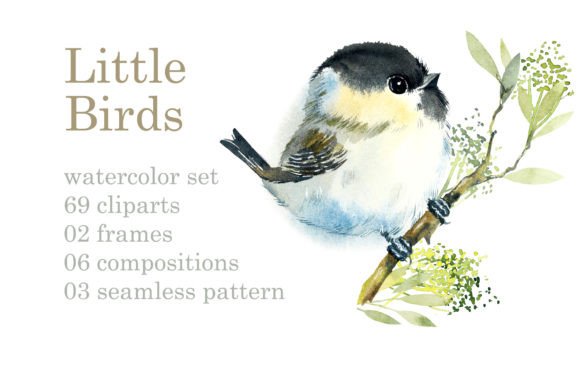 Watercolor Spring Birds Set and Illustrations