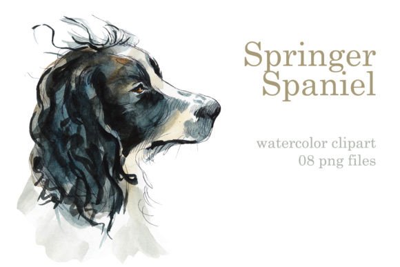 Watercolor Springer Spaniels Illustrations
