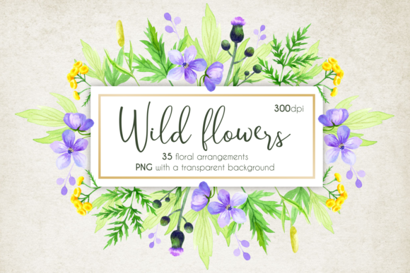 Wild Flowers. Frames. Watercolor.